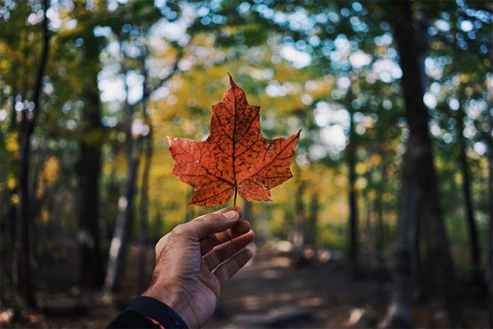 voyage-canada